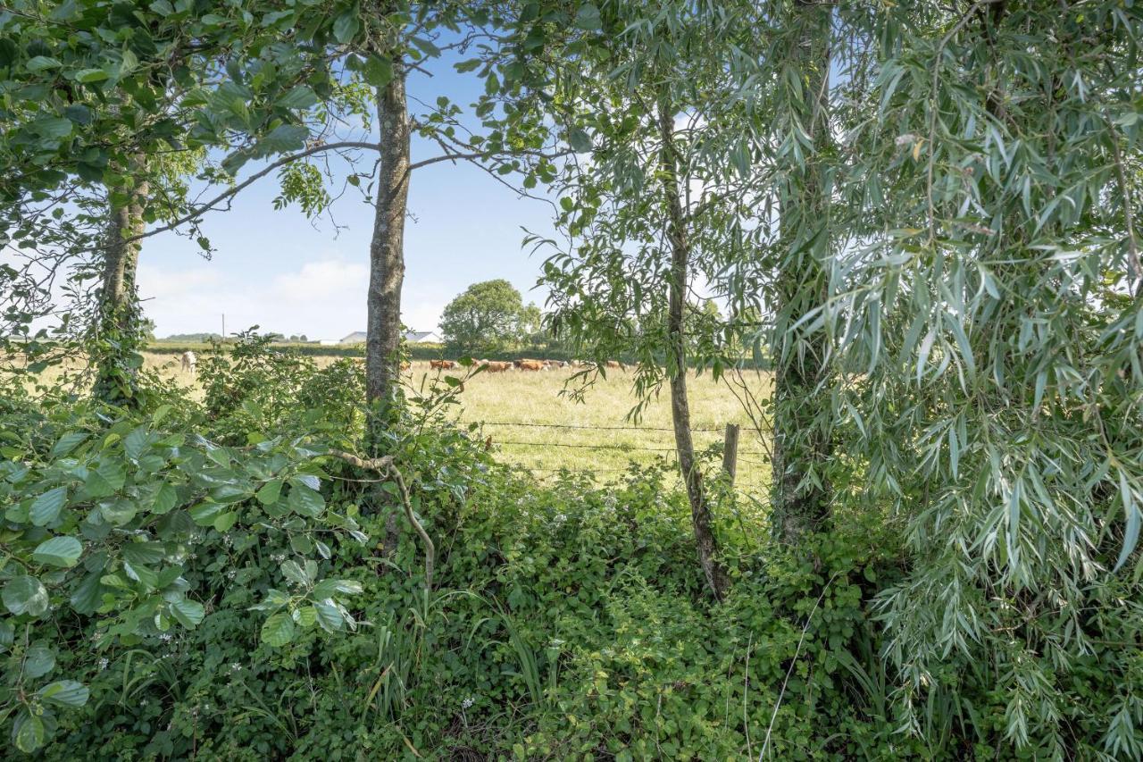 Ash Cottage Llantwit Major Dış mekan fotoğraf